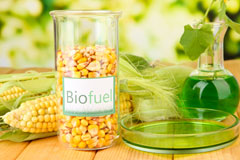 Biggar biofuel availability