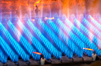 Biggar gas fired boilers